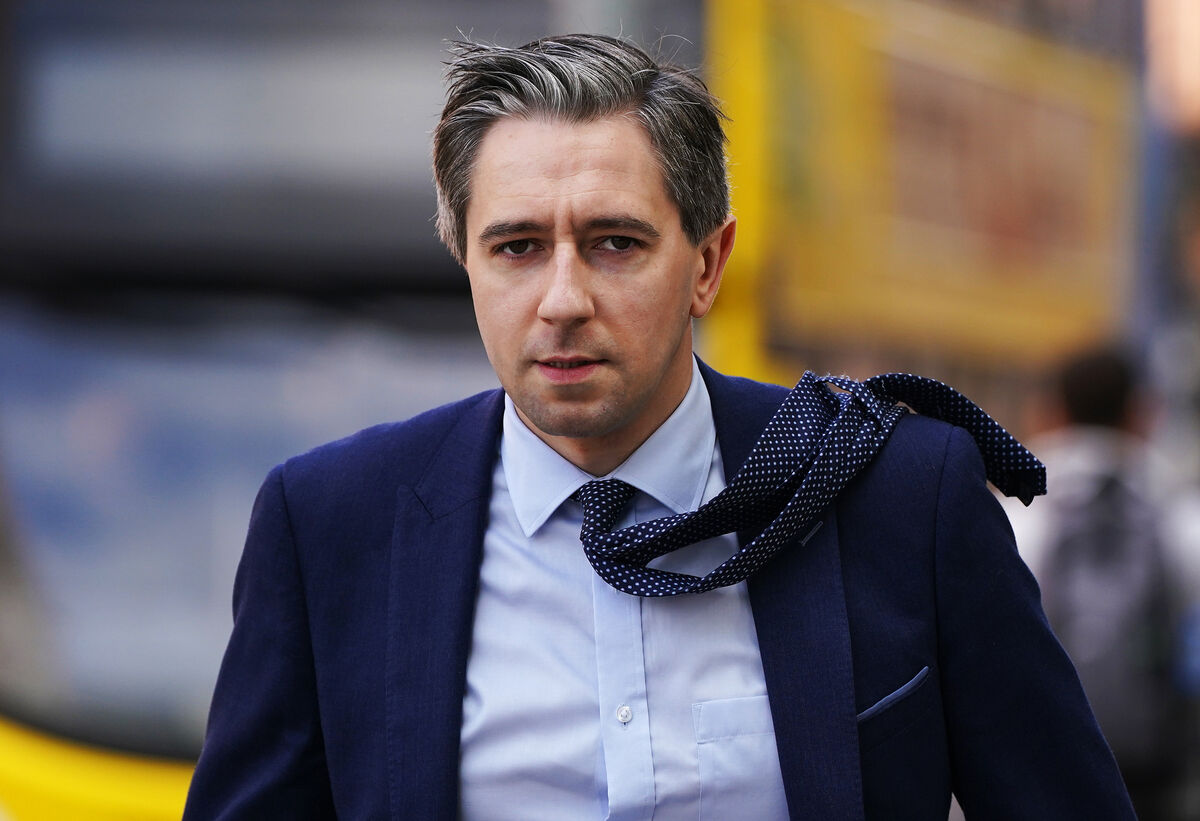 Higher Education Minister Simon Harris is the most followed Irish politician on TikTok.